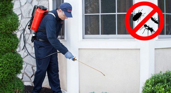 Halkapınar Bit İlaçlama böcek ilaçlama ve haşere kontrolü — ilaclama-tr.com